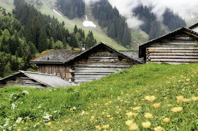 Gampadels Alpe