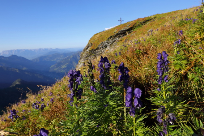 Blick auf Frauenkogel