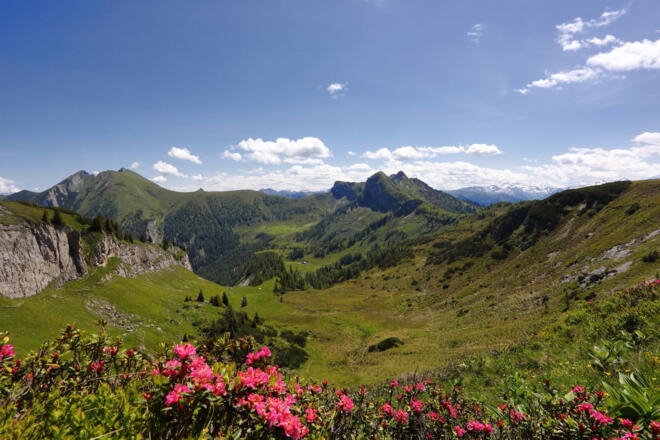 Ausblick