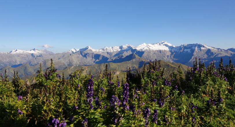 Bergpanorama