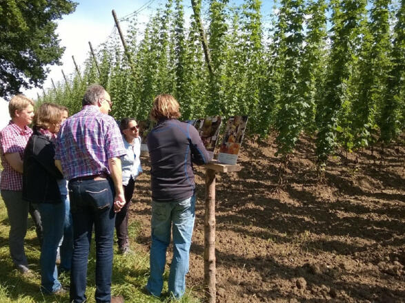 Hopfenführung im Hopfengarten©Martina Mayer