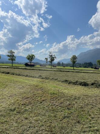 Heuernte Sommer in den Bergen