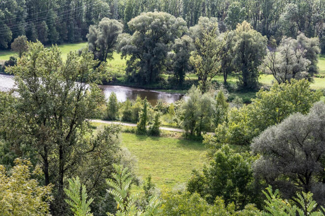 Isar mit Isarauen vom Naturfreundehaus aus gesehen