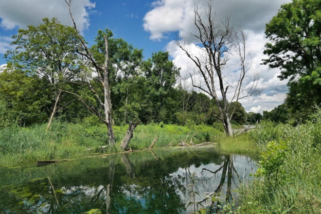 Ampertal - Naturschutzgebiet zwischen Allershausen und Moosburg