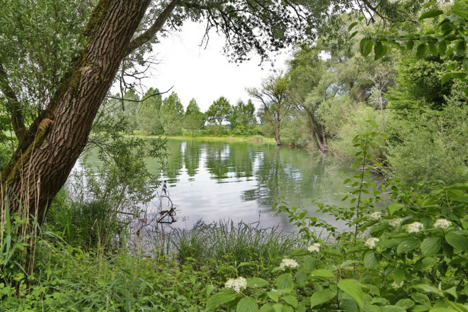 Haag_Haager Weiher_eingerahmter See_web_© Landratsamt Freising