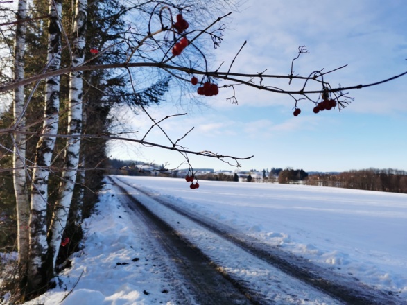 Winterwanderung Bärenbach