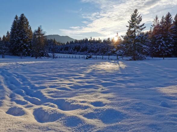 Winterwanderung Kammerl Runde