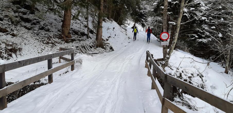 Nicht auf die Rodelbahn, sondern gleich rechts über die Brücke des Weerbachs geht's los.