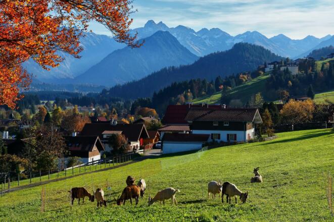 Landschaft