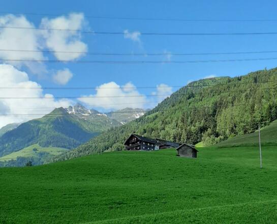 20200623_164853_resized