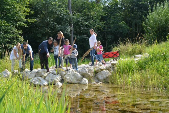 Feuchtbiotop im Weltwald im Kranzberger Forst bei Freising