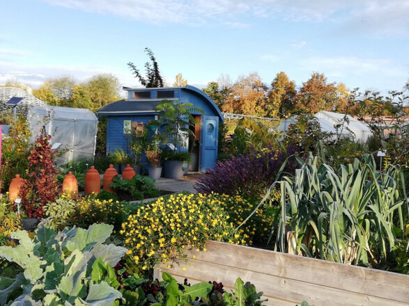 Gartenhaus im Kleingarten der Weihenstephaner Gärten in Freising