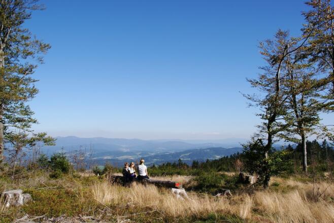 Fernsicht von der "Prölleralm" (Aussichtspunkt südlich vom Gipfel)
