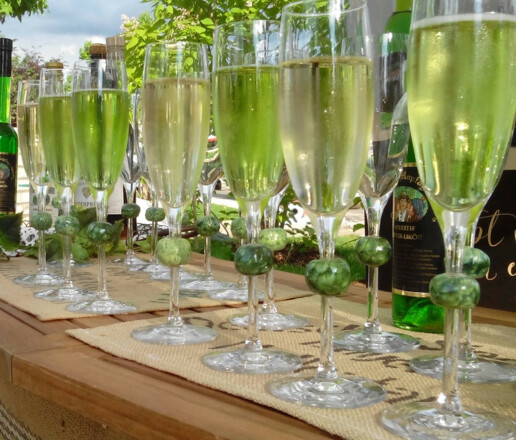 Gartenschau_Pfaffenh_Empfang1