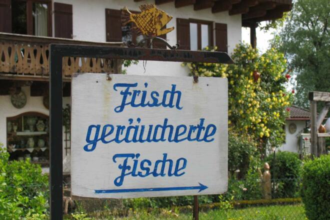 Frisch geräucherte Fische - schmecken am besten in einer Fischsemmel
