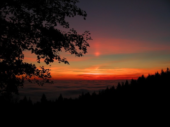 Sonnenuntergang von Maibrunn