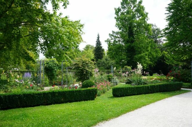 Riedergarten