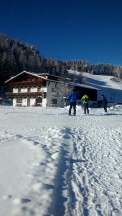 Waldhof im Winter