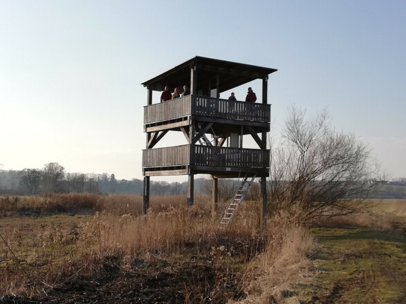 Vogelbeobachtungsturm im Freisinger Moos
