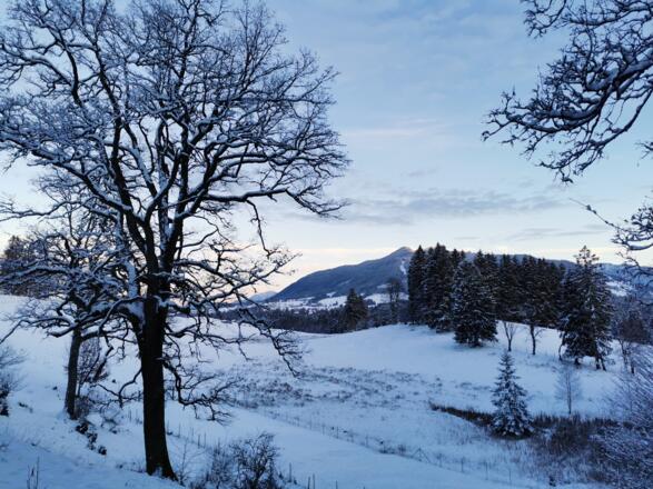 Winterwanderung Kammerl Runde