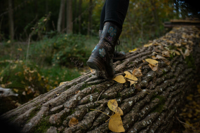 Den Wald beim Waldbaden neu erleben