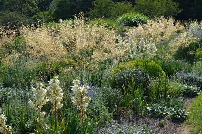 Blumen im Sichtungsgarten - Weihenstephaner Gärten in Freising