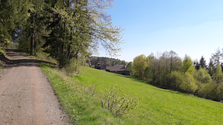 Weg vor Hungerszell