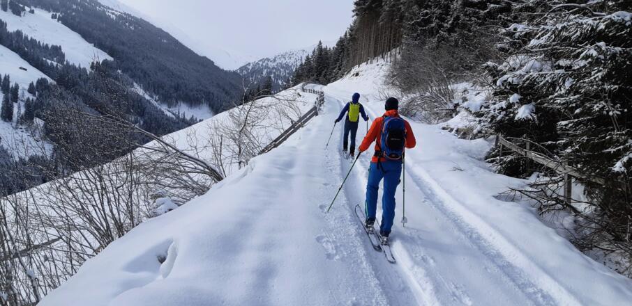 ... auf 1420 m die Forststraße zur Tagetlahnalm erreicht wird. Knapp 2 km ...