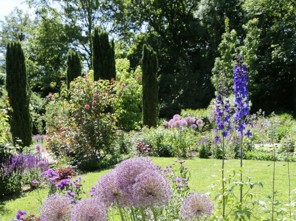 Blumen und Stauden im Oberdieckgarten