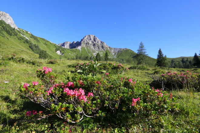 Blick auf Draugstein