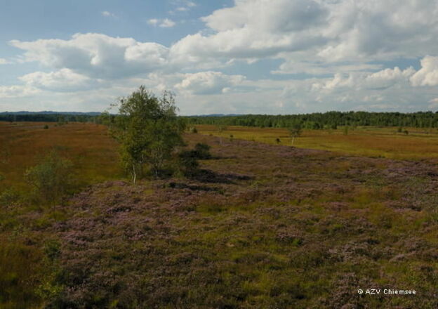 Farbenfroh präsentiert sich das Moor vor allem im Herbst.
