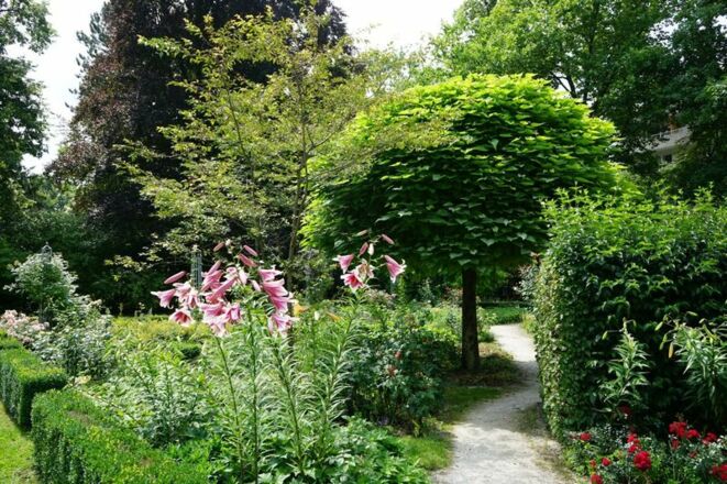 Riedergarten