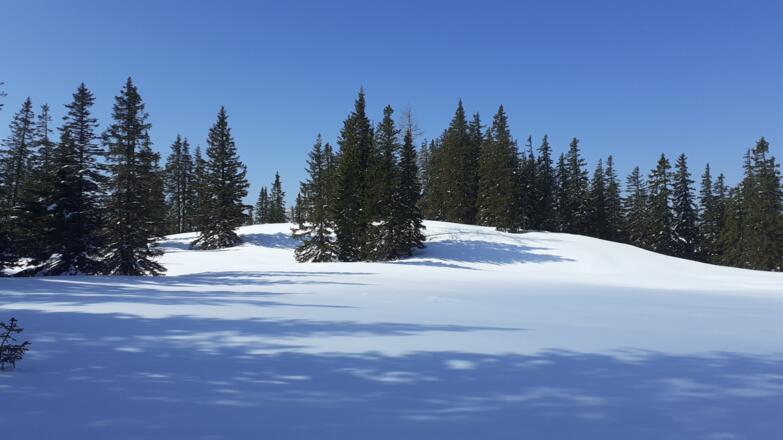 durch die Senke 3 um 1550m