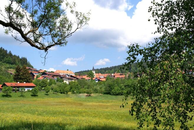 Streichelzoo beim Erlebnishof &quot;Alte Mühle&quot;