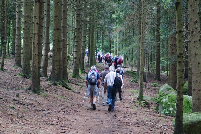 Waldweg nach Kollnburg