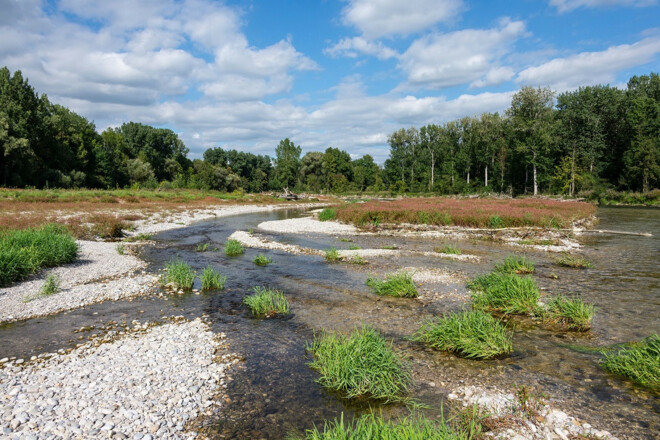 Naturschutzgebiet Isarauen zwischen Hangenham und Moosburg