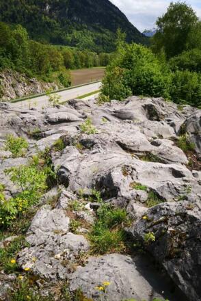 Gletscherschliff