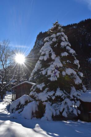 Winter 1