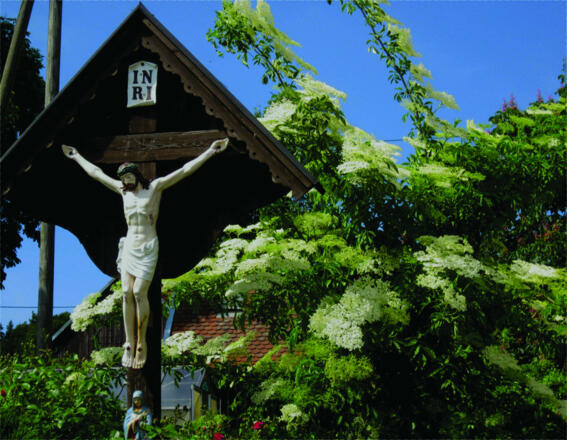 Image_Haus-der-Halleretau 4 (c) Johann Englmüller