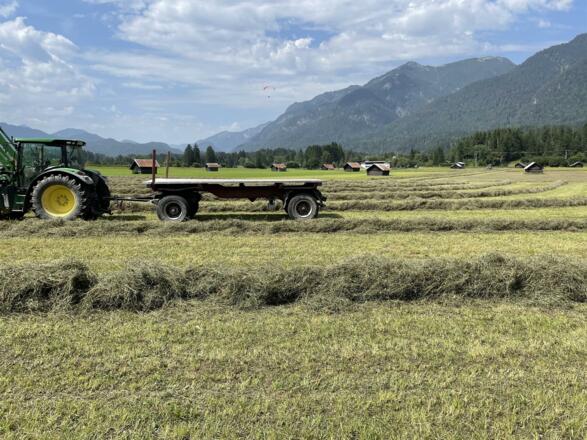 was für ein herrlicher Tag