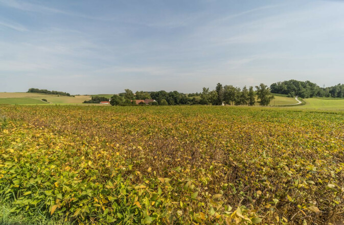 Xaverienthal bei Freising