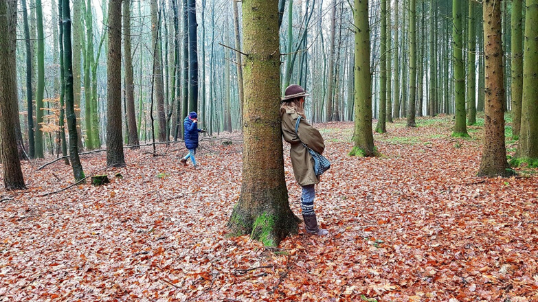 Energie tanken beim Waldbaden