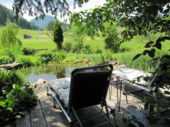 Ausblick am Teich