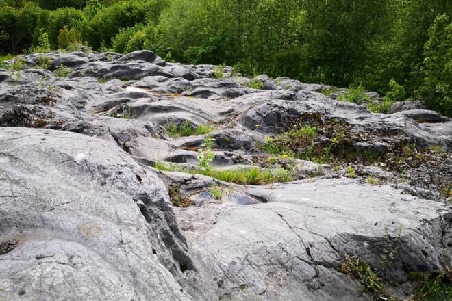 Gletscherschliff Flintsbach