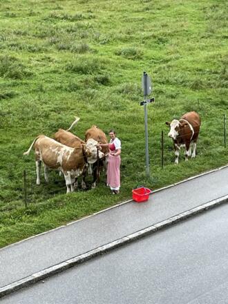 ein kleines Häppchen