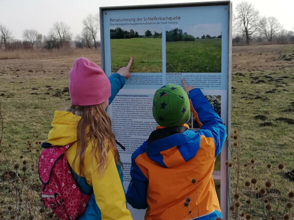 Infotafel im Freisinger Moos