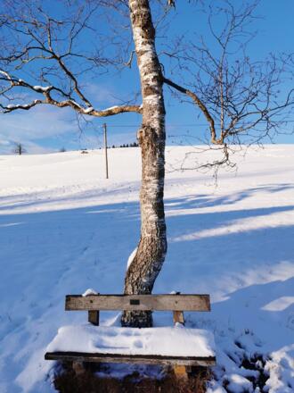 Winterwanderung Kammerl Runde