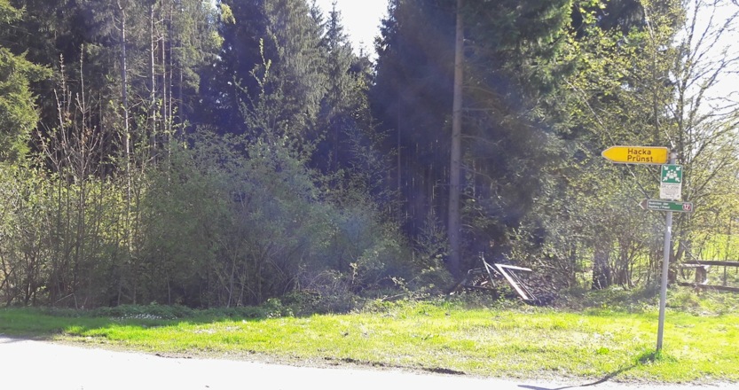 Kreuzung in Vorwald, wo wir links nach Hacka abbiegen