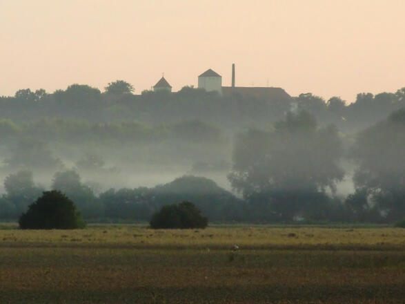 Weihenstephaner Berg im spätsommerlichen Frühnebel