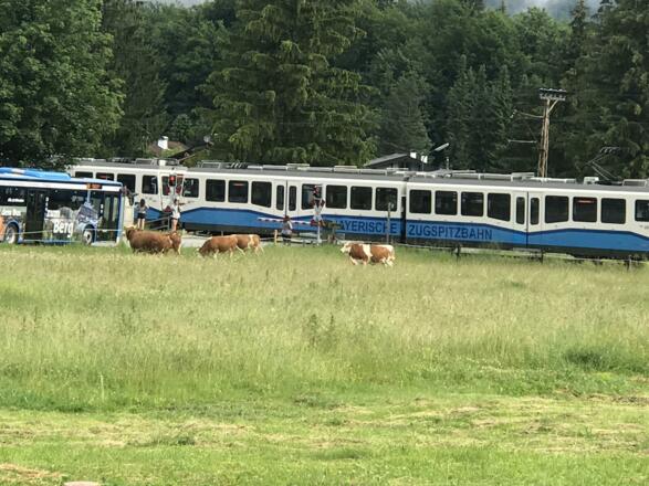 mit weißblau mobil  - auch wir